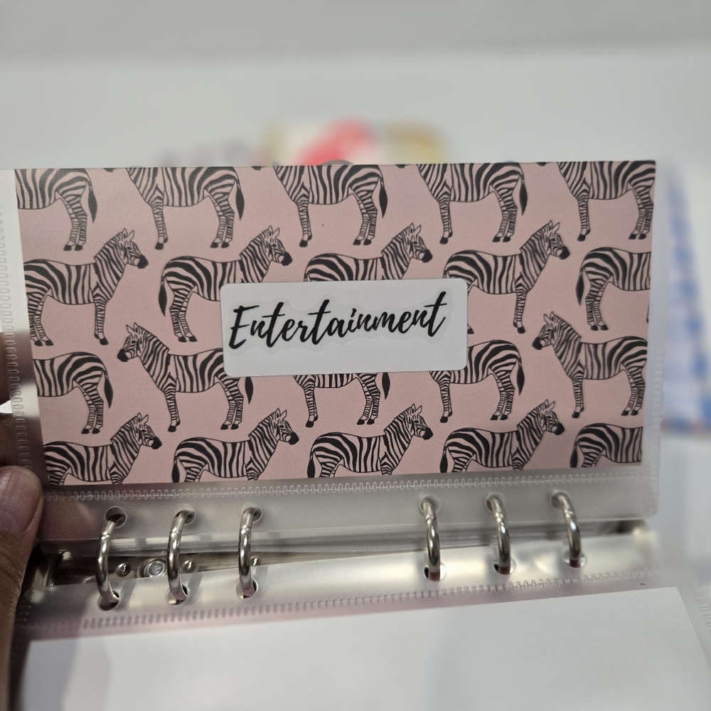 Daily Budget Planner, Savings Envelope Money Organizer, Budget Sheets, Stickers - Picture 9 of 16